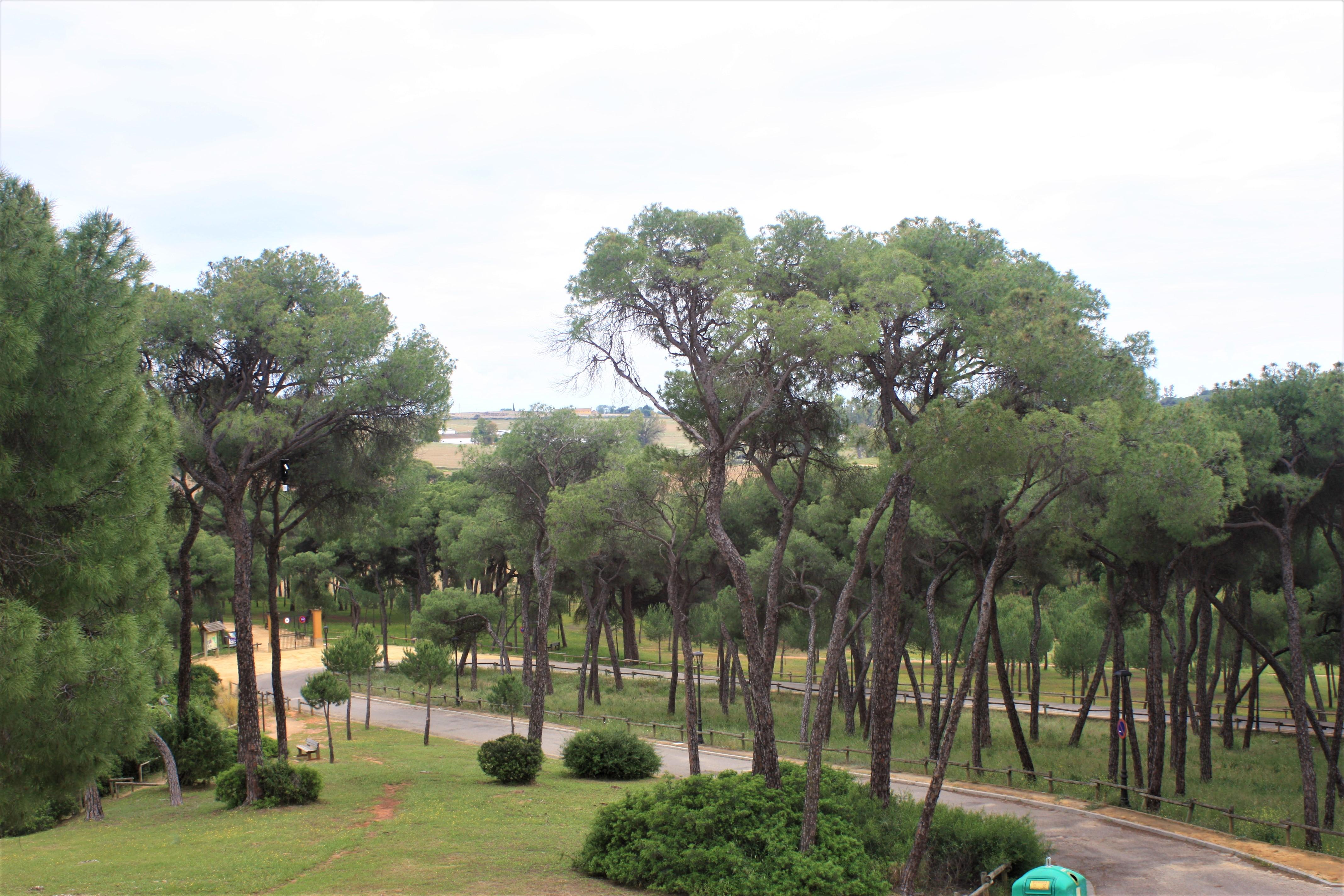 Hotel Oromana Alcalá de Guadaira Dış mekan fotoğraf