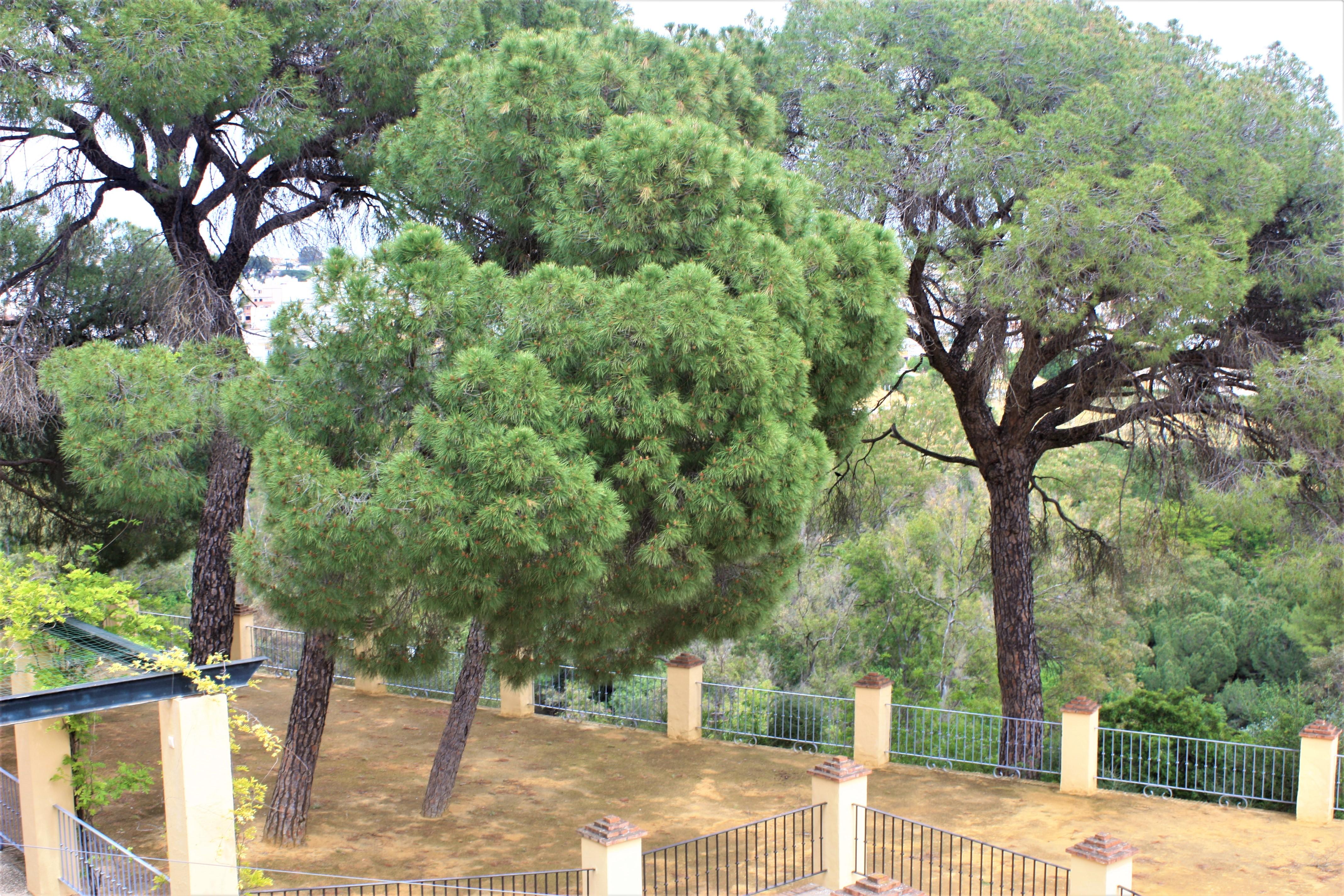 Hotel Oromana Alcalá de Guadaira Dış mekan fotoğraf